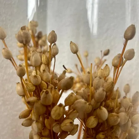 Apartment Le Jula - T2 Proche Centre - Parking Prive