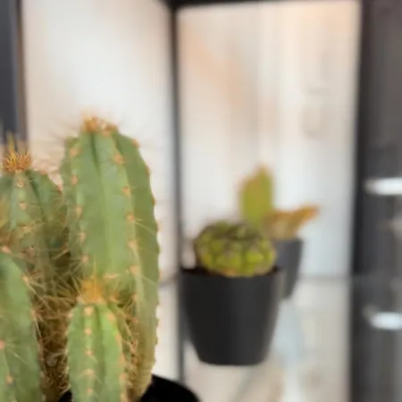 Le Jula - T2 Proche Centre - Parking Prive Albi