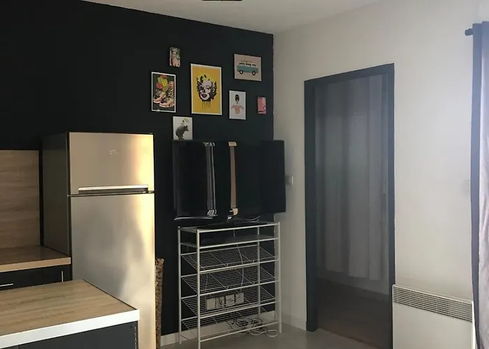 Le Jula - T2 Proche Centre - Parking Prive * アルビ