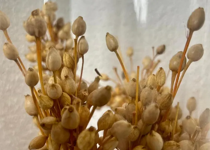 アパート Le Jula - T2 Proche Centre - Parking Prive