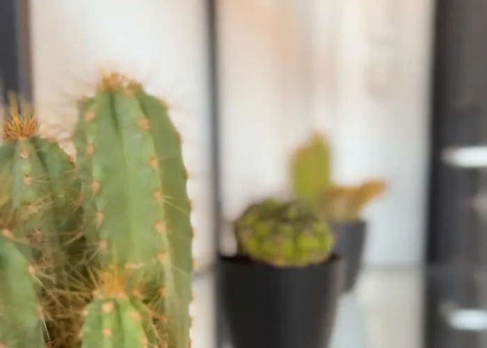 Le Jula - T2 Proche Centre - Parking Prive アルビ