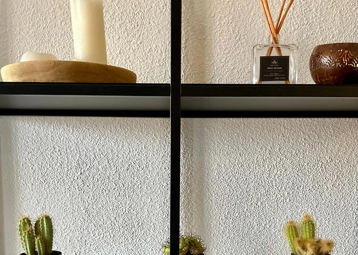 Le Jula - T2 Proche Centre - Parking Prive アルビ